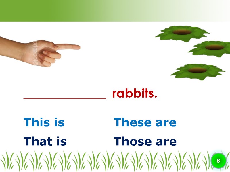 This is These are ________________  rabbits. 8 That is Those are